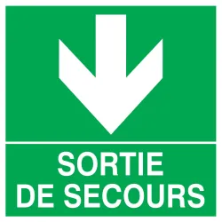 Panneau SORT.SEC.FLECHE EN BAS NORMASI Taliaplast 628412 | 628412