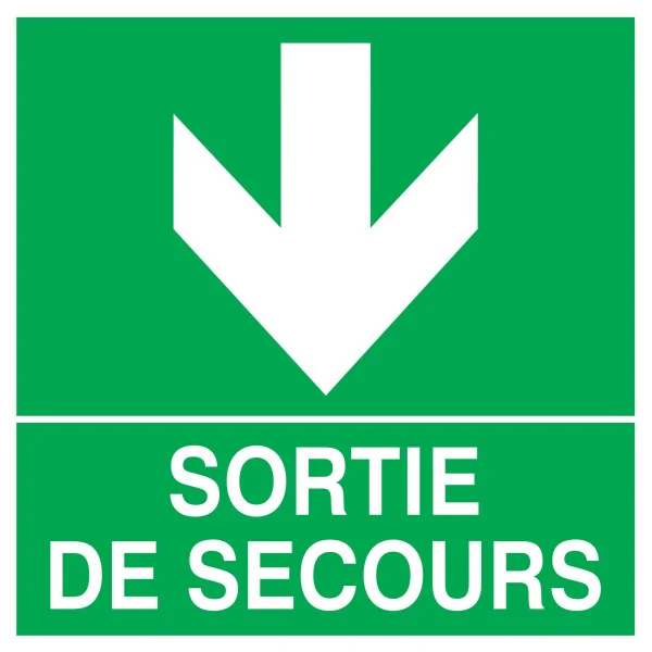 Panneau SORT.SEC.FLECHE EN BAS NORMASI Taliaplast 628412 | 628412 Panneau SORT.SEC.FLECHE EN BAS NORMASI Taliaplast 628412 | 628412