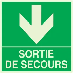 Panneau SORTIE DE SECOURS EN BAS NORMA Taliaplast 638412 | 638412