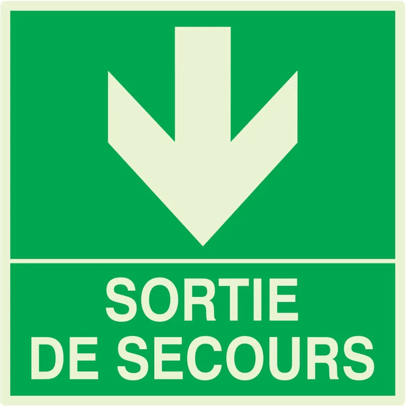 Panneau SORTIE DE SECOURS EN BAS NORMA Taliaplast 638412 | 638412 Panneau SORTIE DE SECOURS EN BAS NORMA Taliaplast 638412 | 638412