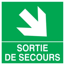 Panneau SORT.FLECH.BAS A DROITE NORMAS Taliaplast 628411 | 628411