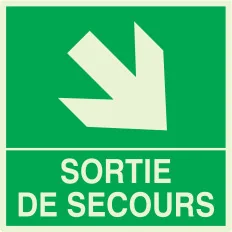 Panneau SORTIE DE SECOURS BAS DROITE N Taliaplast 638411 | 638411