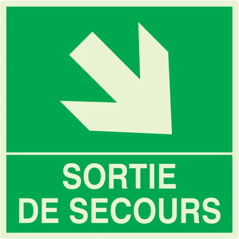 Panneau SORTIE DE SECOURS BAS DROITE N Taliaplast 638411 | 638411 Panneau SORTIE DE SECOURS BAS DROITE N Taliaplast 638411 | 638411