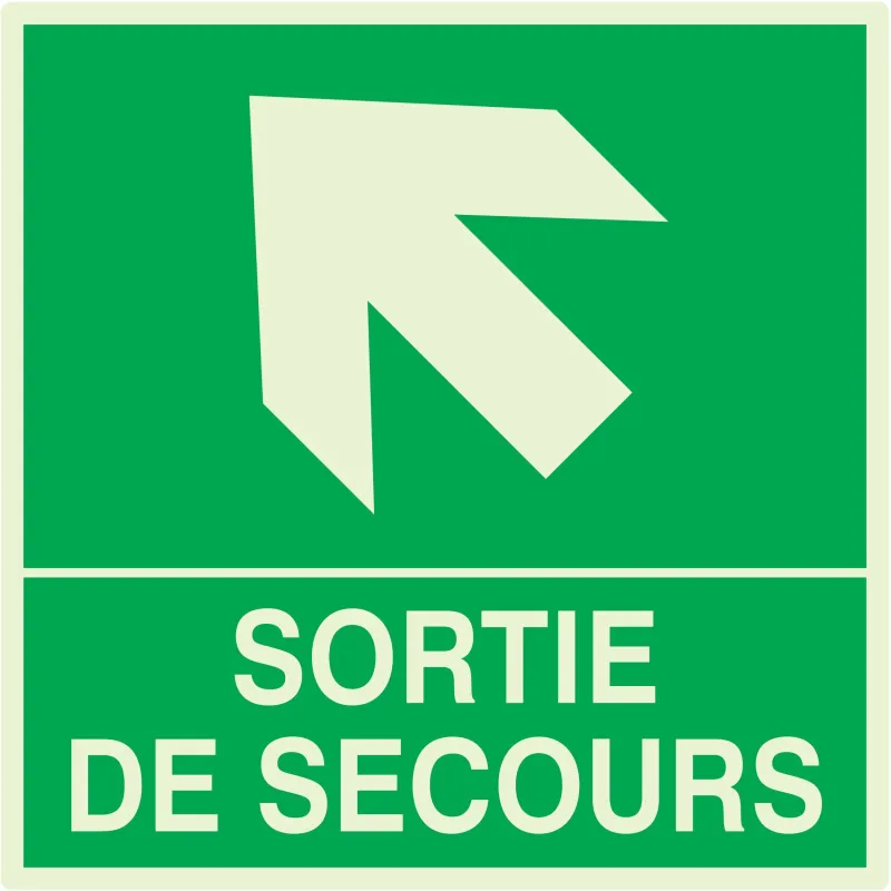 Panneau SORTIE DE SECOURS HAUT GAUCHE Taliaplast 638410 | 638410 Panneau SORTIE DE SECOURS HAUT GAUCHE Taliaplast 638410 | 638410