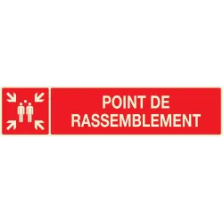 Panneau POINT RASSEMBL.APRES EVACUATI. Taliaplast 635111 | 635111