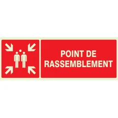 Panneau POINT RASSEMBL.APRES EVACUATI. Taliaplast 636111 | 636111