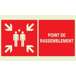Panneau POINT RASSEMBL.APRES EVACUATI. Taliaplast 631111 | 631111