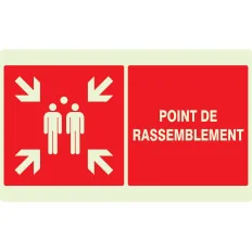 Panneau POINT RASSEMBL.APRES EVACUATI. Taliaplast 631111 | 631111