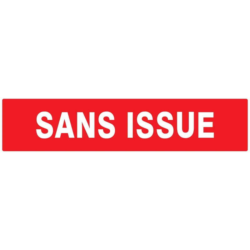 Panneau SANS ISSUE INCENDIE NORMASIGN Taliaplast 625124 | 625124 Panneau SANS ISSUE INCENDIE NORMASIGN Taliaplast 625124 | 625124