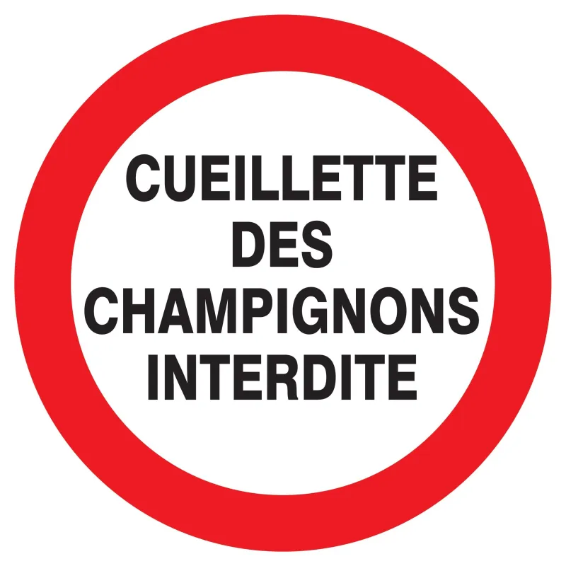 Panneau CUEILLETTE DES CHAMPIGNONS INT Taliaplast 727242 | 727242