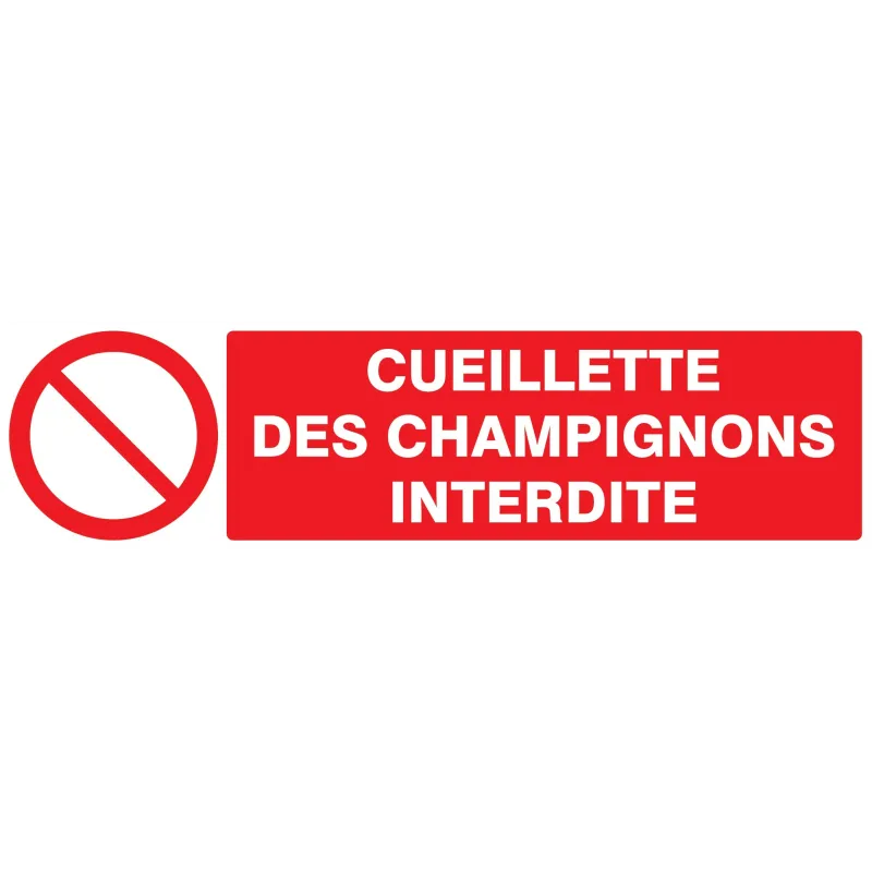 Panneau CUEILLETTE DES CHAMPIGNONS INT Taliaplast 720221 | 720221 Panneau CUEILLETTE DES CHAMPIGNONS INT Taliaplast 720221 | 720221
