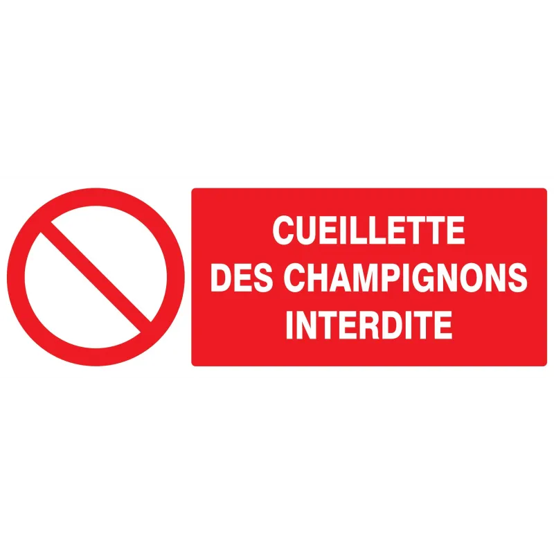 Panneau CUEILLETTE DES CHAMPIGNONS INT Taliaplast 726221 | 726221 Panneau CUEILLETTE DES CHAMPIGNONS INT Taliaplast 726221 | 726221