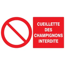 Panneau CUEILLETTE DES CHAMPIGNONS INT Taliaplast 721221 | 721221