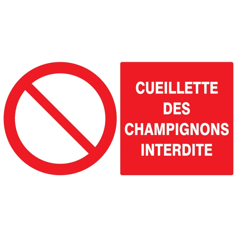 Panneau CUEILLETTE DES CHAMPIGNONS INT Taliaplast 721221 | 721221