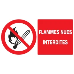Panneau FLAMMES NUES INTERDITES NORMAS Taliaplast 721226 | 721226