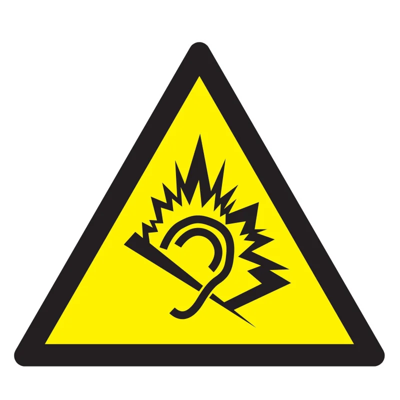 Panneau DANGER DU AU BRUIT NORMASIGN A Taliaplast 729917 | 729917 Panneau DANGER DU AU BRUIT NORMASIGN A Taliaplast 729917 | 729917