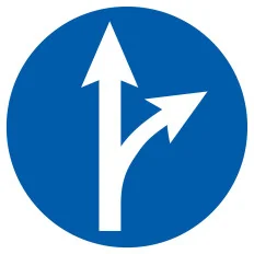 Panneau SORTIE SUR LA DROITE D.180 NOR Taliaplast 727583 | 727583