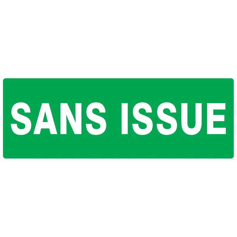 Panneau SANS ISSUE (SECOURS) NORMASIGN Taliaplast 726415 | 726415 Panneau SANS ISSUE (SECOURS) NORMASIGN Taliaplast 726415 | 726415
