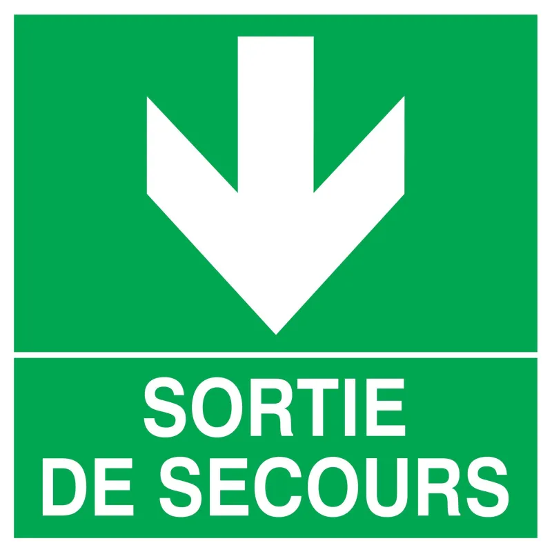 Panneau SORTIE FLECHE EN BAS 200X200 N Taliaplast 728412 | 728412 Panneau SORTIE FLECHE EN BAS 200X200 N Taliaplast 728412 | 728412