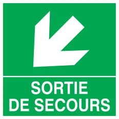 Panneau SORTIE DE SECOURS FLECHE EN BA Taliaplast 728413 | 728413