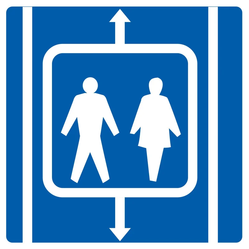 ASCENSEUR NORMASIGN ADHESIF 20 Taliaplast 728622 | 728622 ASCENSEUR NORMASIGN ADHESIF 20 Taliaplast 728622 | 728622