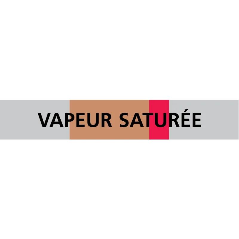 Panneau VAPEUR SATUREE 156X26 MARQUAGE Taliaplast 732214 | 732214 Panneau VAPEUR SATUREE 156X26 MARQUAGE Taliaplast 732214 | 732214