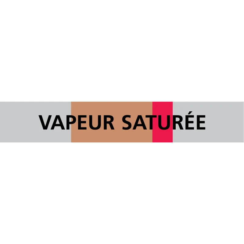 Panneau VAPEUR SATUREE 312X52 MARQUAGE Taliaplast 730214 | 730214