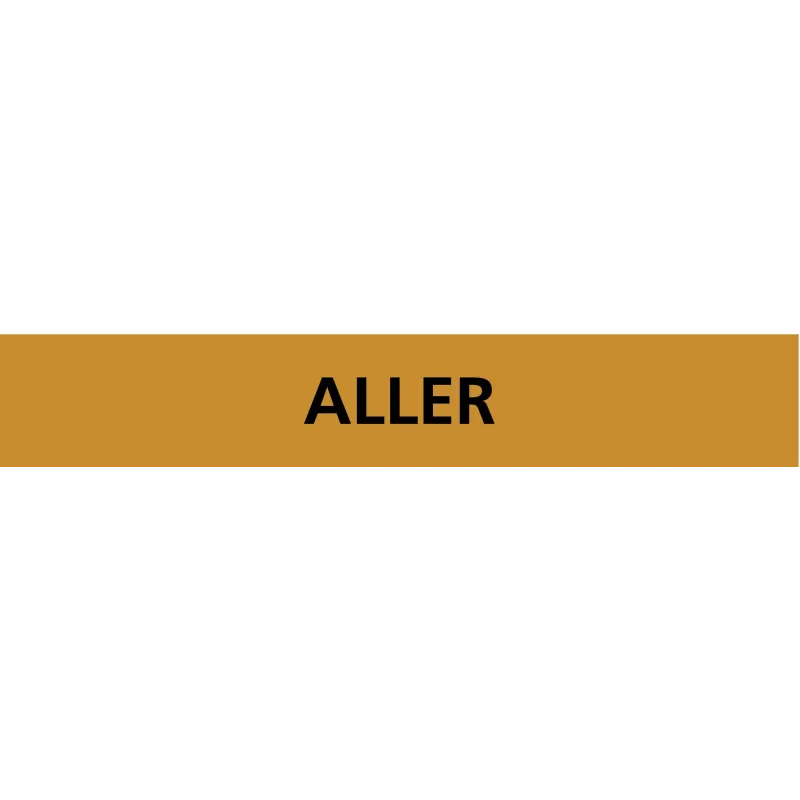 Panneau ALLER 156X26 MARQUAGE TUYAUTER Taliaplast 732502 | 732502 Panneau ALLER 156X26 MARQUAGE TUYAUTER Taliaplast 732502 | 732502
