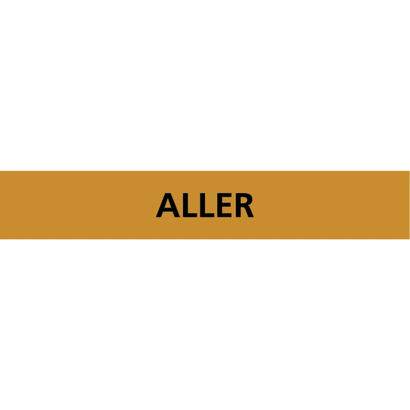 Panneau ALLER 312X52 MARQUAGE TUYAUTER Taliaplast 730502 | 730502 Panneau ALLER 312X52 MARQUAGE TUYAUTER Taliaplast 730502 | 730502