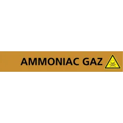Panneau AMMONIAC GAZ 312X52 MARQUAGE T Taliaplast 730504 | 730504