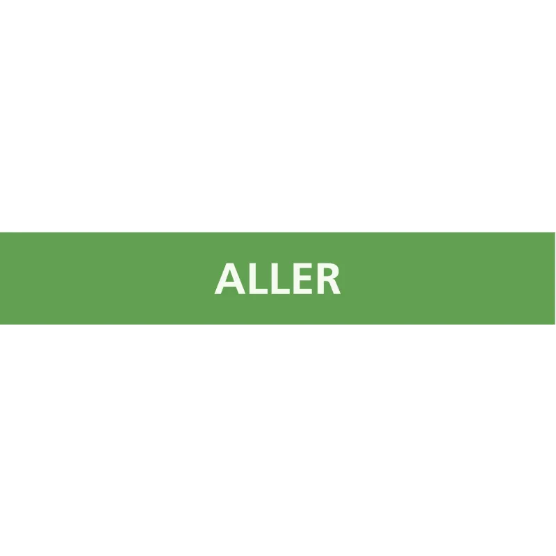 Panneau ALLER 156X26 MARQUAGE TUYAUTER Taliaplast 732101 | 732101 Panneau ALLER 156X26 MARQUAGE TUYAUTER Taliaplast 732101 | 732101