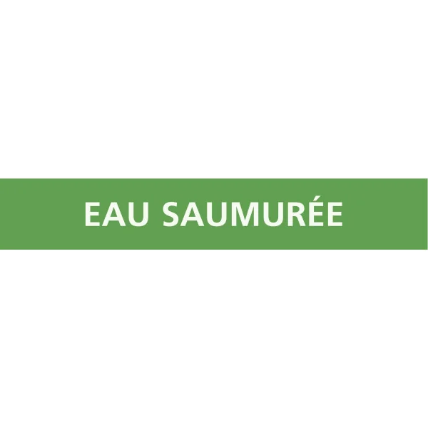 Panneau EAU SAUMURÉE 312x52mm (10 ADHE Taliaplast 730194 | 730194 Panneau EAU SAUMURÉE 312x52mm (10 ADHE Taliaplast 730194 | 730194