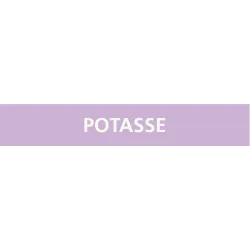 Panneau POTASSE 312X52 MARQUAGE TUYAUT Taliaplast 730741 | 730741