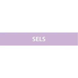 Panneau SELS 312X52 MARQUAGE TUYAUTERI Taliaplast 730742 | 730742