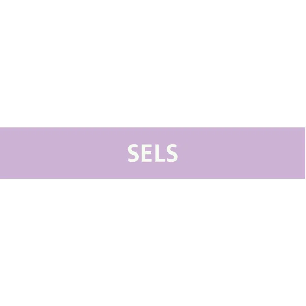 Panneau SELS 312X52 MARQUAGE TUYAUTERI Taliaplast 730742 | 730742 Panneau SELS 312X52 MARQUAGE TUYAUTERI Taliaplast 730742 | 730742