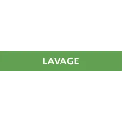 Panneau LAVAGE 312x52mm (10 ADHESIFS P Taliaplast 730803 | 730803