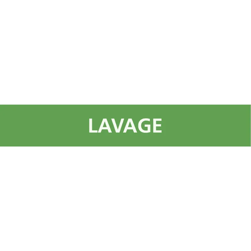 Panneau LAVAGE 312x52mm (10 ADHESIFS P Taliaplast 730803 | 730803 Panneau LAVAGE 312x52mm (10 ADHESIFS P Taliaplast 730803 | 730803
