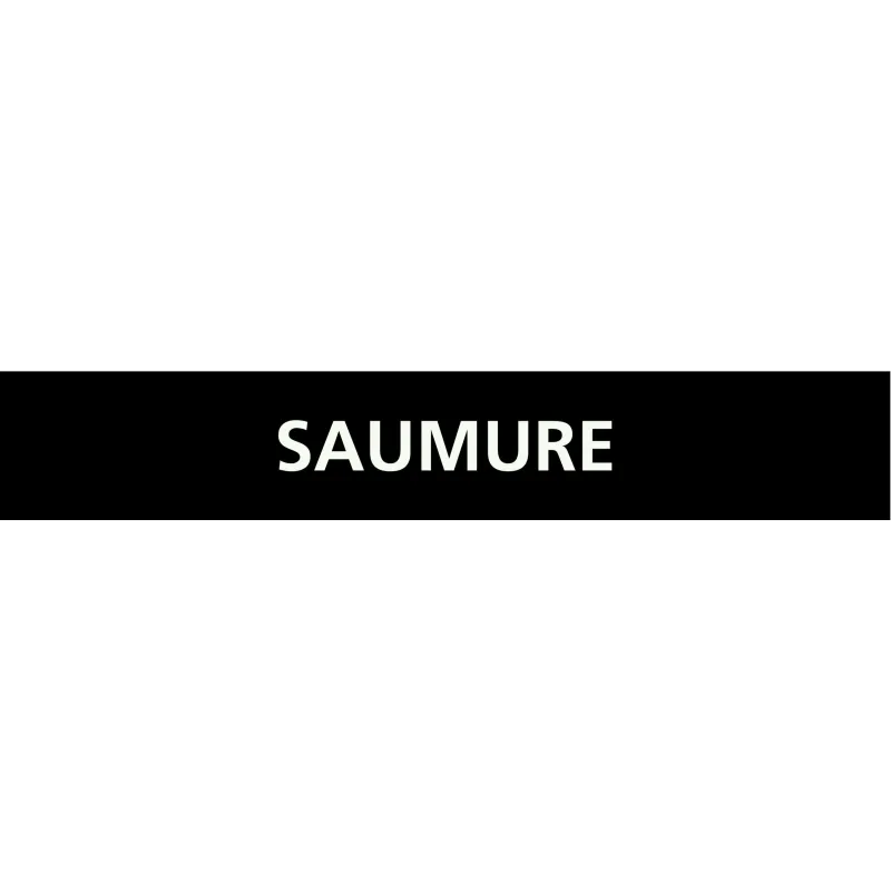 Panneau SAUMURE 312x52mm (10 ADHESIFS Taliaplast 730819 | 730819 Panneau SAUMURE 312x52mm (10 ADHESIFS Taliaplast 730819 | 730819