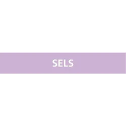 Panneau SELS 222X37 MARQUAGE TUYAUTERI Taliaplast 731742 | 731742