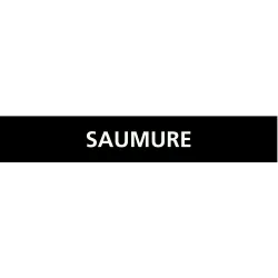 Panneau SAUMURE 222x37mm (20 ADHESIFS Taliaplast 731819 | 731819