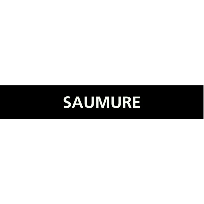 Panneau SAUMURE 222x37mm (20 ADHESIFS Taliaplast 731819 | 731819 Panneau SAUMURE 222x37mm (20 ADHESIFS Taliaplast 731819 | 731819
