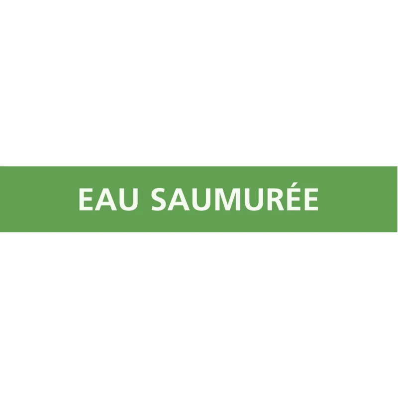Panneau EAU SAUMUREE 156X26 MARQUAGE T Taliaplast 732194 | 732194 Panneau EAU SAUMUREE 156X26 MARQUAGE T Taliaplast 732194 | 732194