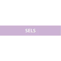 Panneau SELS 156X26 MARQUAGE TUYAUTERI Taliaplast 732742 | 732742