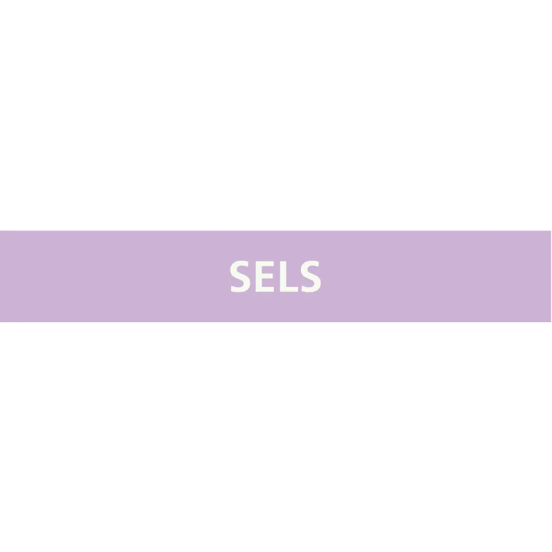 Panneau SELS 156X26 MARQUAGE TUYAUTERI Taliaplast 732742 | 732742 Panneau SELS 156X26 MARQUAGE TUYAUTERI Taliaplast 732742 | 732742