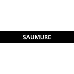 Panneau SAUMURE 156x26mm (20 ADHESIFS Taliaplast 732819 | 732819