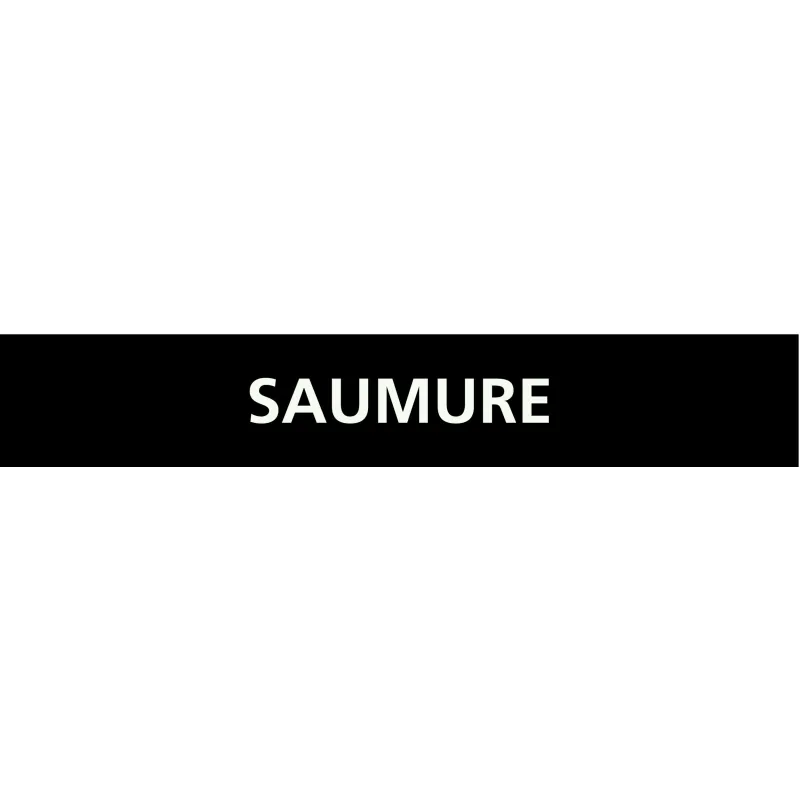 Panneau SAUMURE 156x26mm (20 ADHESIFS Taliaplast 732819 | 732819 Panneau SAUMURE 156x26mm (20 ADHESIFS Taliaplast 732819 | 732819