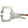 Pince étau à mâchoire amovible . 0-100 mm KSTOOLS 115.1074 | 115.1074