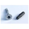 Boite de 500 vis VISSALBOIS TTAP FILET TOTAL ZN TX10 3.0X25