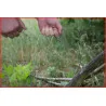 Scie fil . L. 760mm KSTOOLS 123.0005 | Scies manuelles | Ekibat