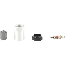 Coffret Master pour capteur RDKS / TPMS pour | Rangement atelier | Eki